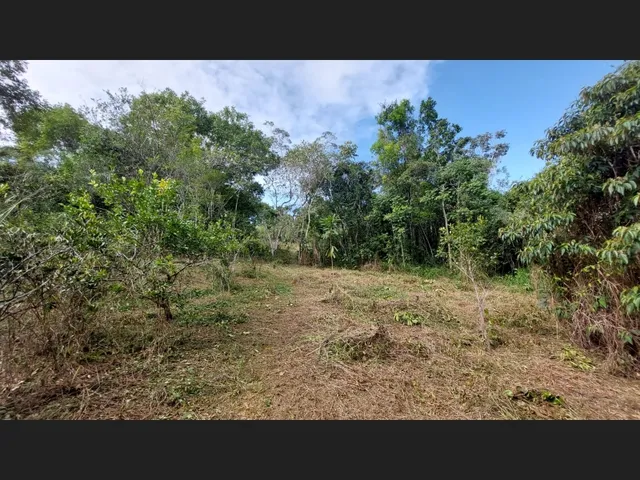 Imagem 10: Linda Gleba Rural de 2Ha com Rio
