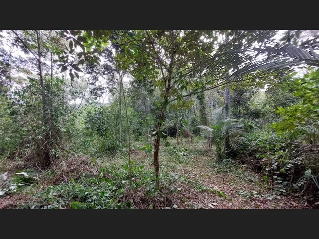 Imagem 14: Linda Gleba Rural de 2Ha com Rio