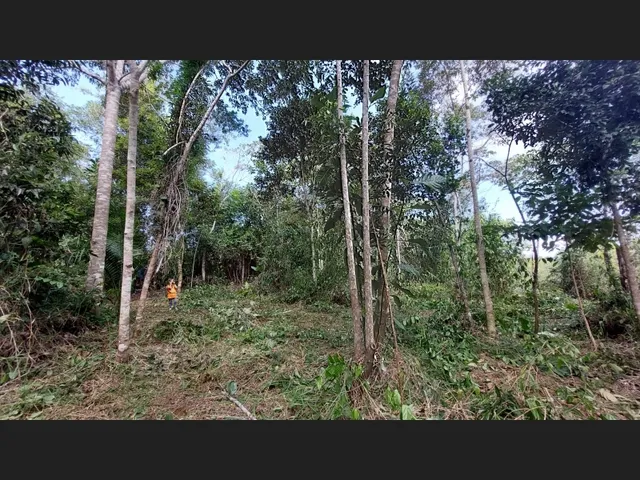 Imagem 5: Linda Gleba Rural de 2Ha com Rio