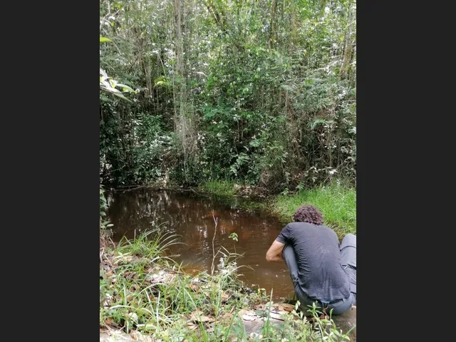 Imagem 6: Linda Gleba Rural de 2Ha com Rio