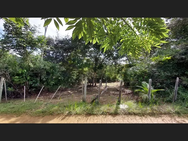 Imagem 13: Linda Gleba Rural de 2Ha com Rio