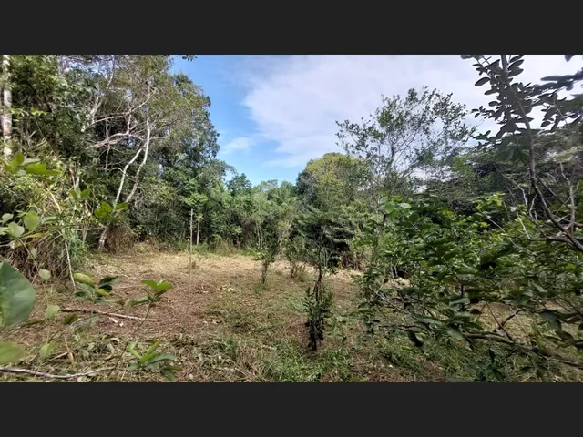 Imagem 12: Linda Gleba Rural de 2Ha com Rio