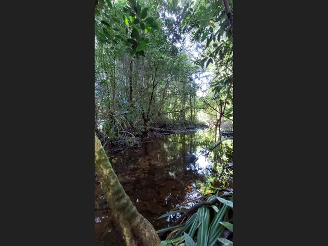 Imagem 3: Linda Gleba Rural de 2Ha com Rio