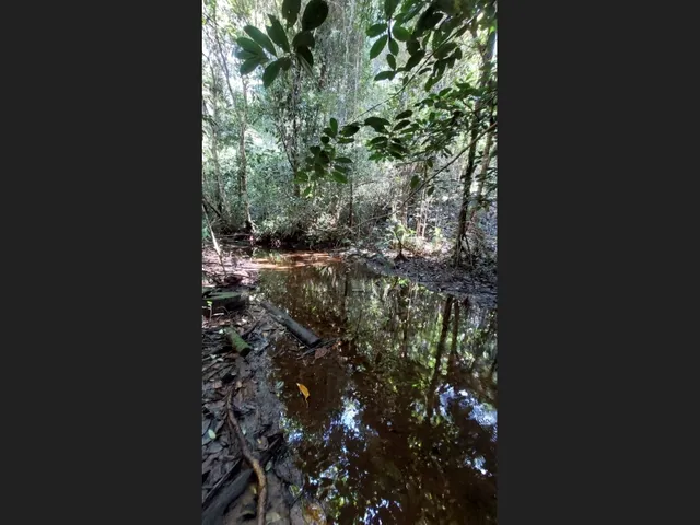 Imagem 7: Linda Gleba Rural de 2Ha com Rio