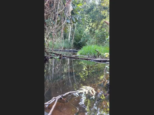 Imagem 16: Linda Gleba Rural de 2Ha com Rio