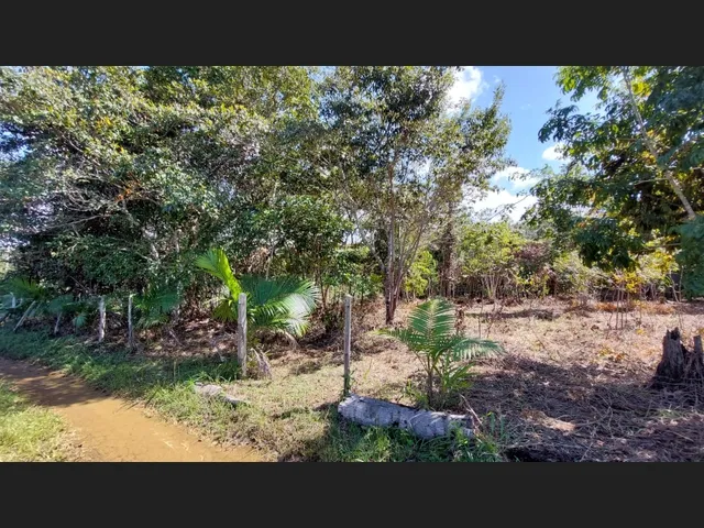 Imagem 2: Linda Gleba Rural de 2Ha com Rio