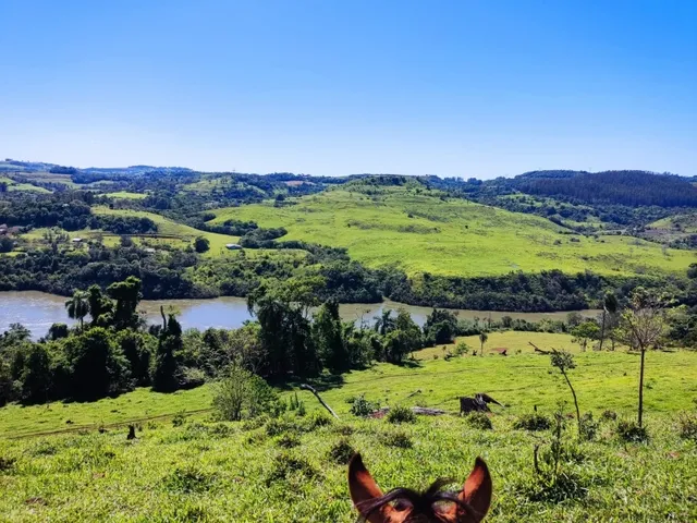 Imagem 2: Vendo Terreno nas Margens do Rio Iguaçu