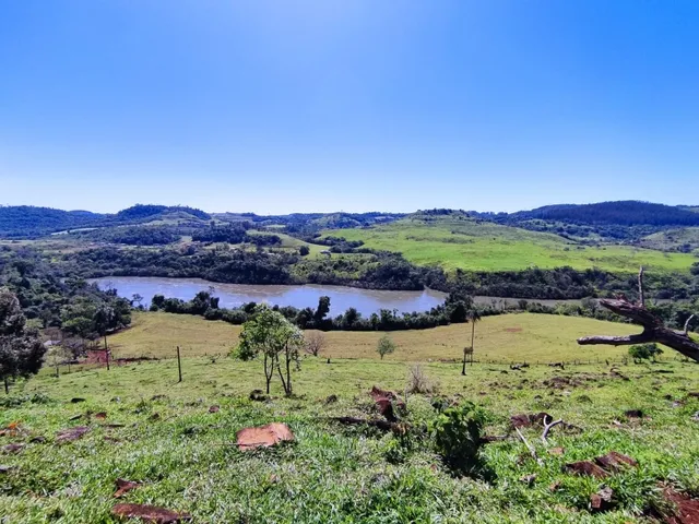 Imagem 4: Vendo Terreno nas Margens do Rio Iguaçu