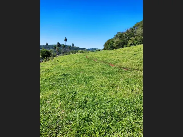 Imagem 5: Vendo Terreno nas Margens do Rio Iguaçu