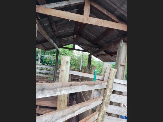 Imagem 3: Vendo Terreno nas Margens do Rio Iguaçu