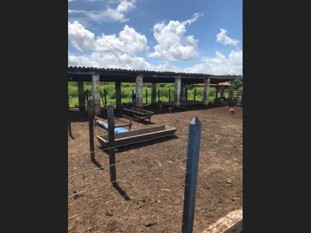 Imagem: Fazenda 102 Hectares em Pentecoste. Estruturada