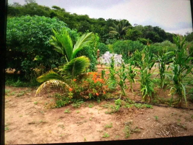 Imagem: Vendo Um Sítio no Bom Jardim Próximo a