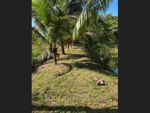 Imagem 5: Sitio em Fundao Fazenda / sítio com 2 dormitórios