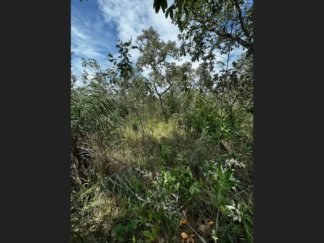 Imagem 14: Lotes em Condomínio Próximo Ao Aeroporto de Alto Paraíso de Goiás