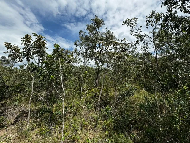 Imagem 2: Lotes em Condomínio Próximo Ao Aeroporto de Alto Paraíso de Goiás