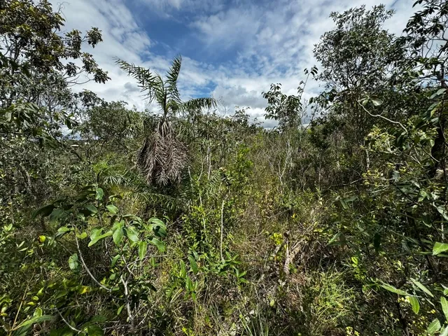 Imagem 8: Lotes em Condomínio Próximo Ao Aeroporto de Alto Paraíso de Goiás