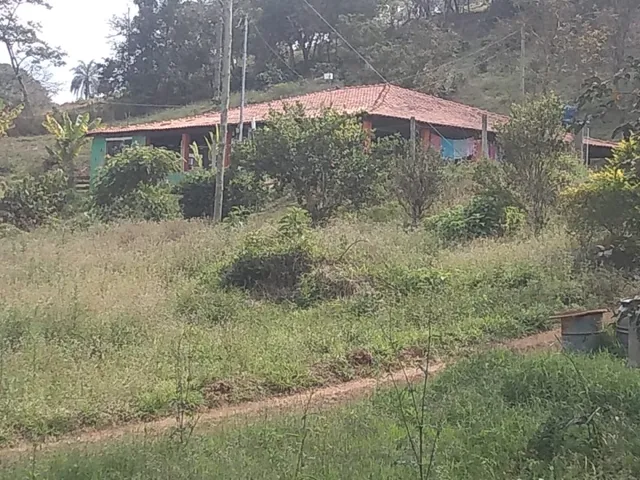 Imagem 12: Chácara 9.700M² com Muita Água e Uma Linda e Espaçosa Casa