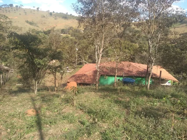 Imagem 16: Chácara 9.700M² com Muita Água e Uma Linda e Espaçosa Casa