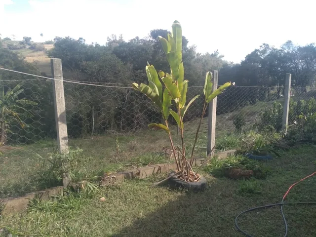 Imagem 13: Chácara 9.700M² com Muita Água e Uma Linda e Espaçosa Casa