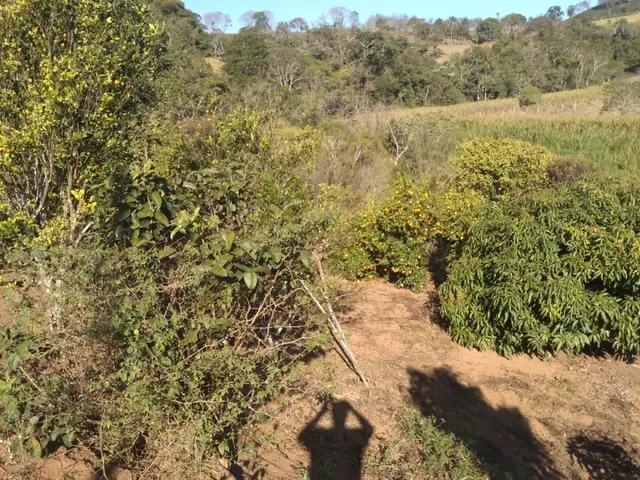 Imagem 2: Chácara a Venda no Sul de Minas Gerais com 5850M² com Casa de Laje e Piso Água de Mina