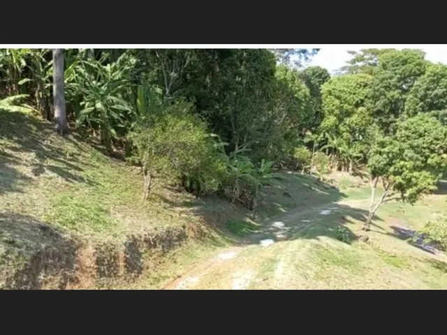 Imagem 8: Vendo Chácara de Mais de 11.000M2 Localizada 500M do Centro da Cidade