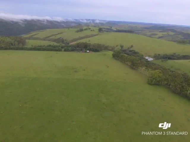Imagem: Vendo Fazenda (392He)-Minas Gerais