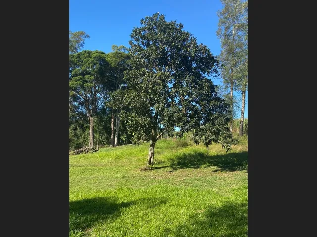 Imagem 14: Sítio Município de Imaruí Bairro Fazenda