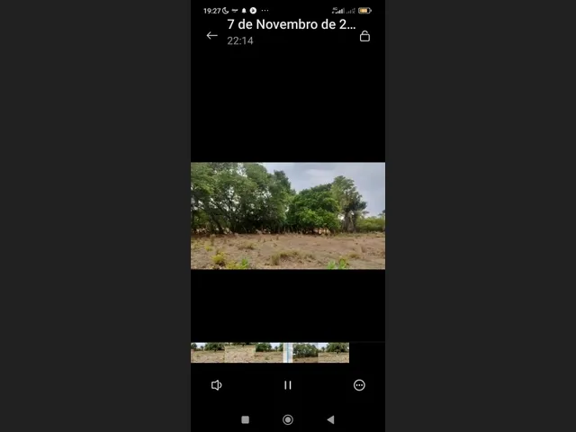 Imagem: Terreno Rural 63,5Ha Às Margens do Río