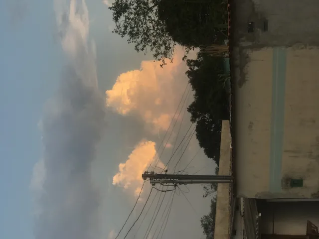 Imagem: Procuro Casa Sozinha no Lote