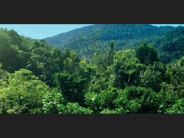 Imagem 2: Vendo Terreno em Alfredo Chaves R$ 150.000,00