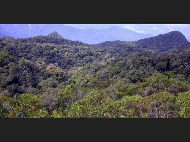 Imagem 4: Vendo Terreno em Alfredo Chaves R$ 150.000,00