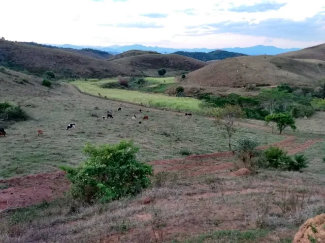 Imagem: Chacreamento Novo Paraíso