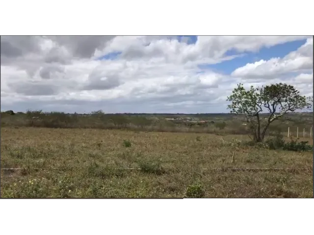 Imagem: Vendo Terreno no Loteamento Eucalipto