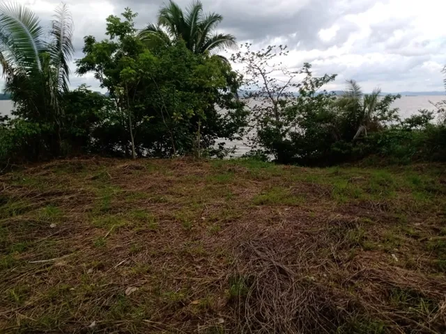 Imagem: Lote em Babaculandia