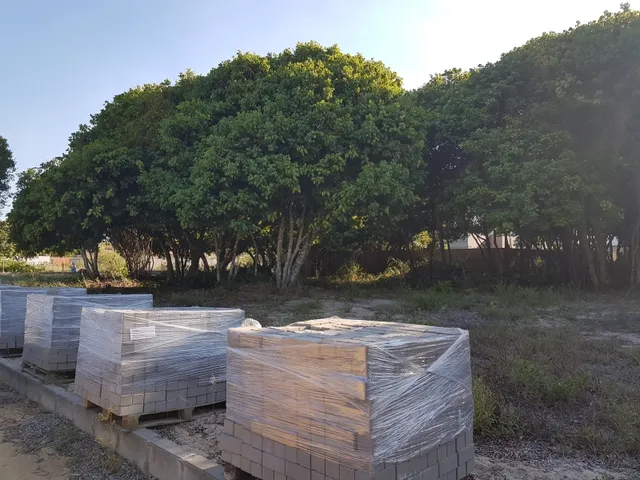 Imagem: Vendo Lote na Praia de Guriri