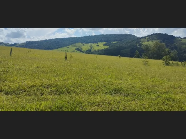 Imagem 2: Terreno Prox Ao Horto Florestal com Escritura
