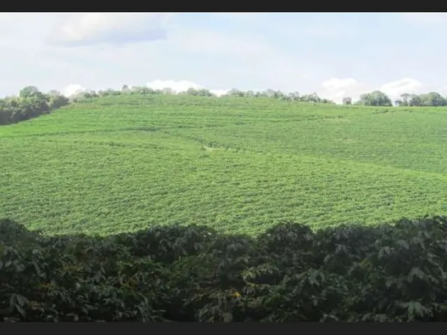 Imagem: Fazenda de 3.231 Há Sul de Minas Mg