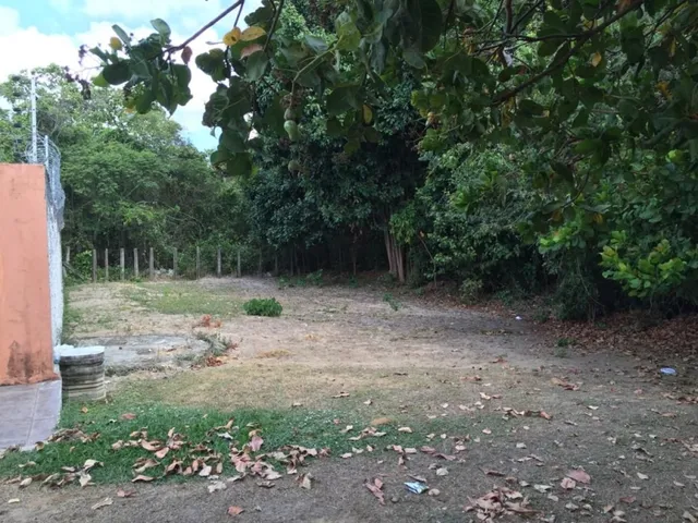 Imagem: Terreno Bem Localizado em Emaús