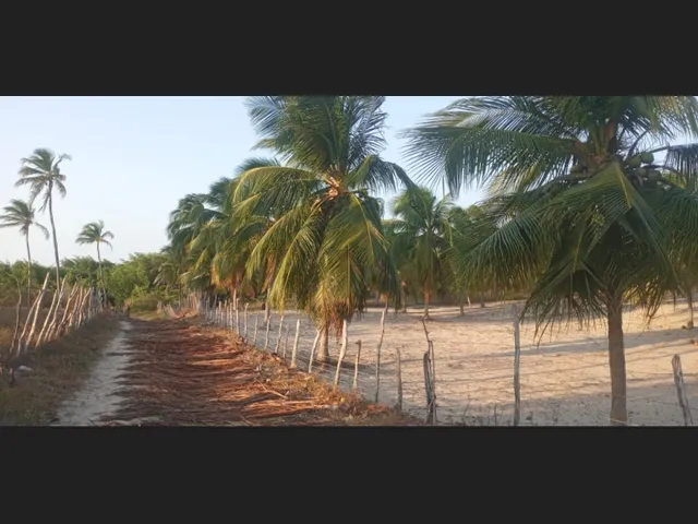 Imagem: Terreno 10.000 Metros Quadrado no Distrito