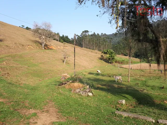 Imagem 10: Sítio Pomerode - Excelente Oportunidade