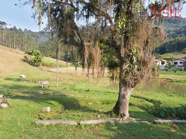 Imagem 8: Sítio Pomerode - Excelente Oportunidade