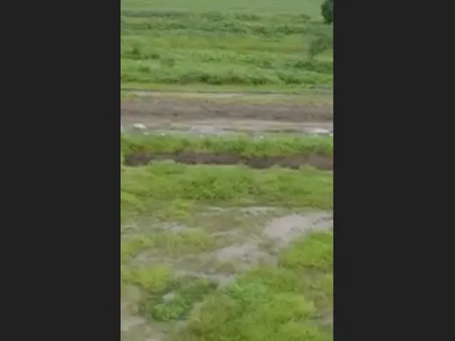 Imagem: Fazenda 5.500 Hectares em Pleno Funcionamento