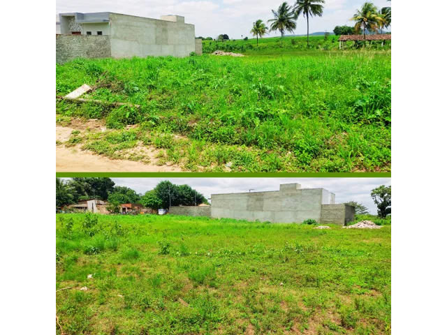 Imagem: Terreno em Guarabira