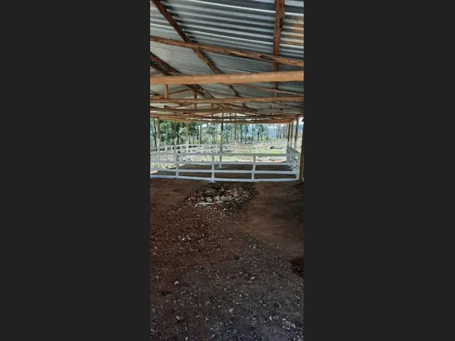 Imagem 6: Fazenda de 51 Há em Desterro de Entre Rios Mg