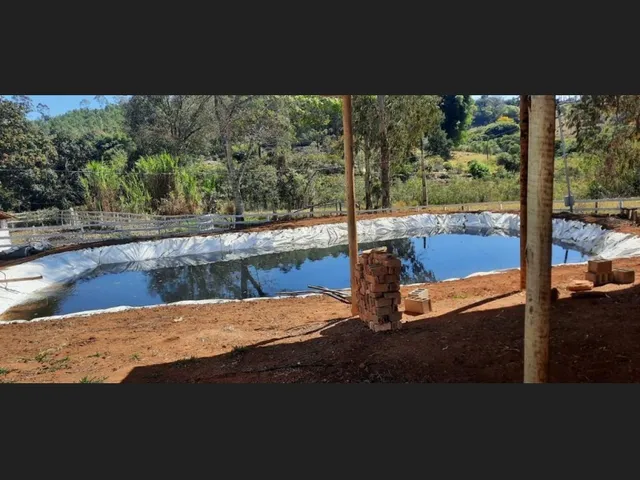 Imagem 4: Fazenda de 51 Há em Desterro de Entre Rios Mg