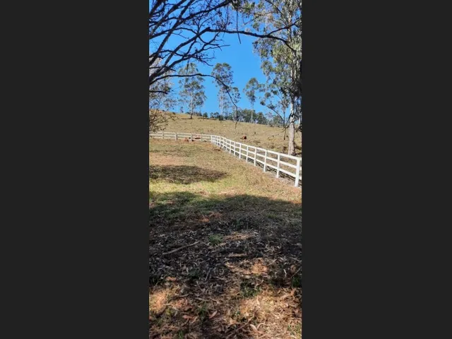 Imagem 5: Fazenda de 51 Há em Desterro de Entre Rios Mg