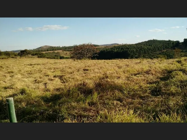 Imagem 2: Fazenda de 51 Há em Desterro de Entre Rios Mg