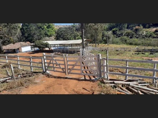 Imagem 3: Fazenda de 51 Há em Desterro de Entre Rios Mg