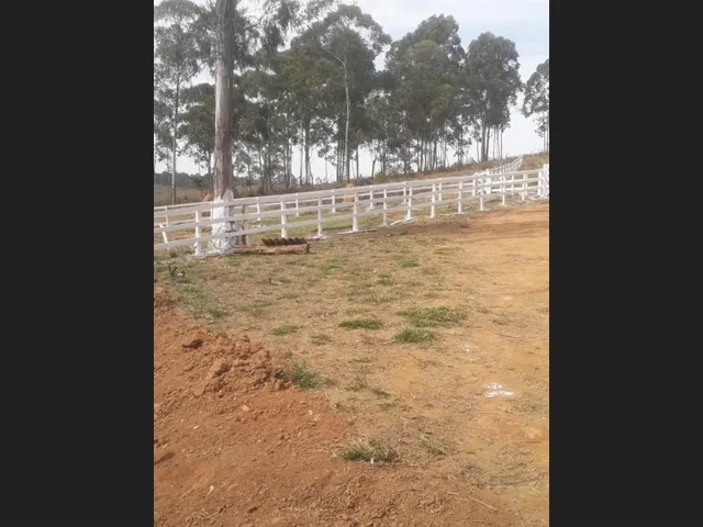 Imagem 10: Fazenda de 51 Há em Desterro de Entre Rios Mg