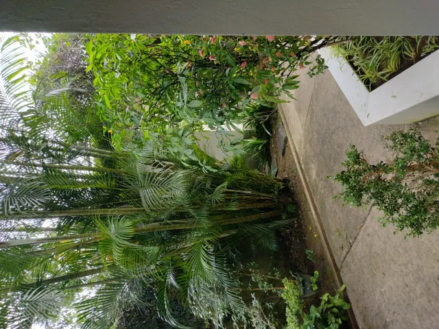Imagem 8: Alugo Belíssimo Apartamento Bairro Quitandinha, Ultimo Andar, Elevador, Garagem